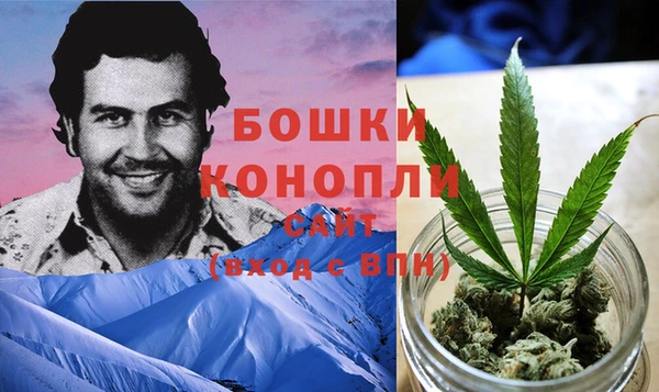 шишки Абаза