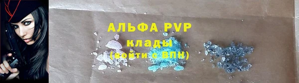 шишки Абаза