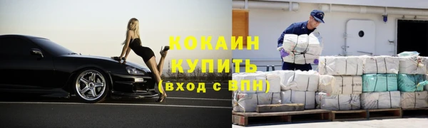 шишки Абаза