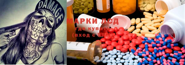 шишки Абаза