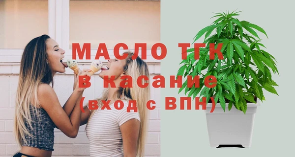 шишки Абаза