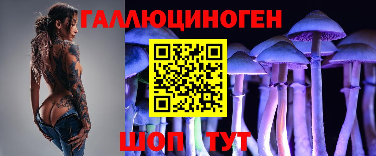 Усть-Кут  Псилоцибиновые грибы Cubensis  Вход с VPN 